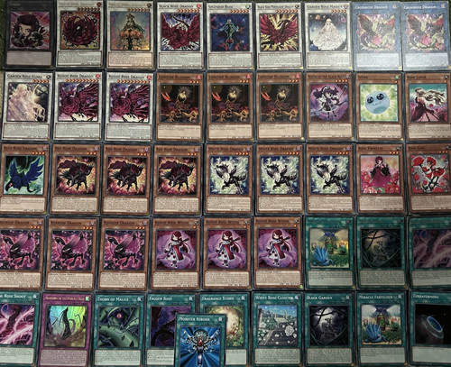 Yugioh schwarzer rosendrache - yugioh,