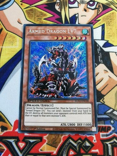 Bewaffneter drache lv7 - drache,