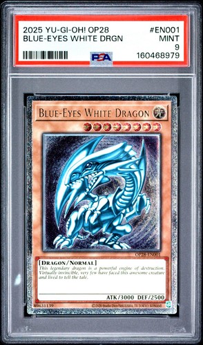 Blue eyes white - yu-gi-oh!,